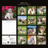 image Shih Tzu 2027 Wall Calendar First Alternate Image
