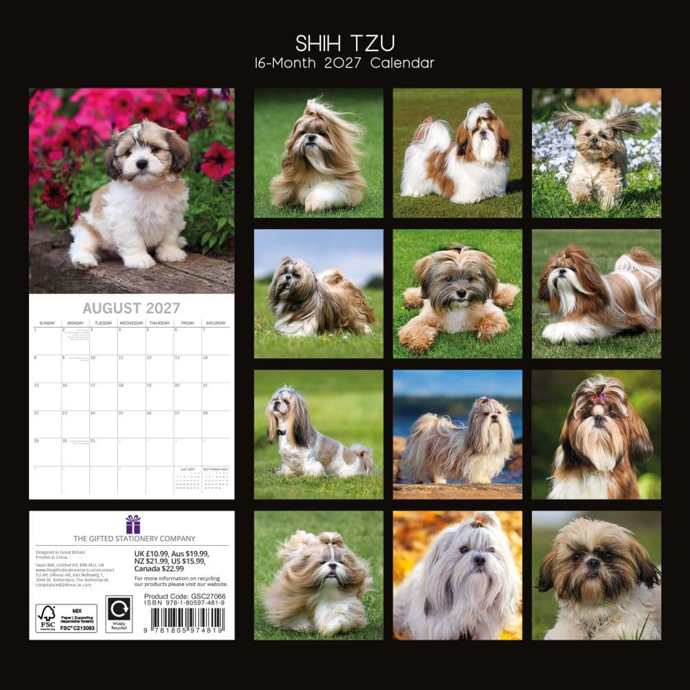 Shih Tzu 2027 Wall Calendar First Alternate Image