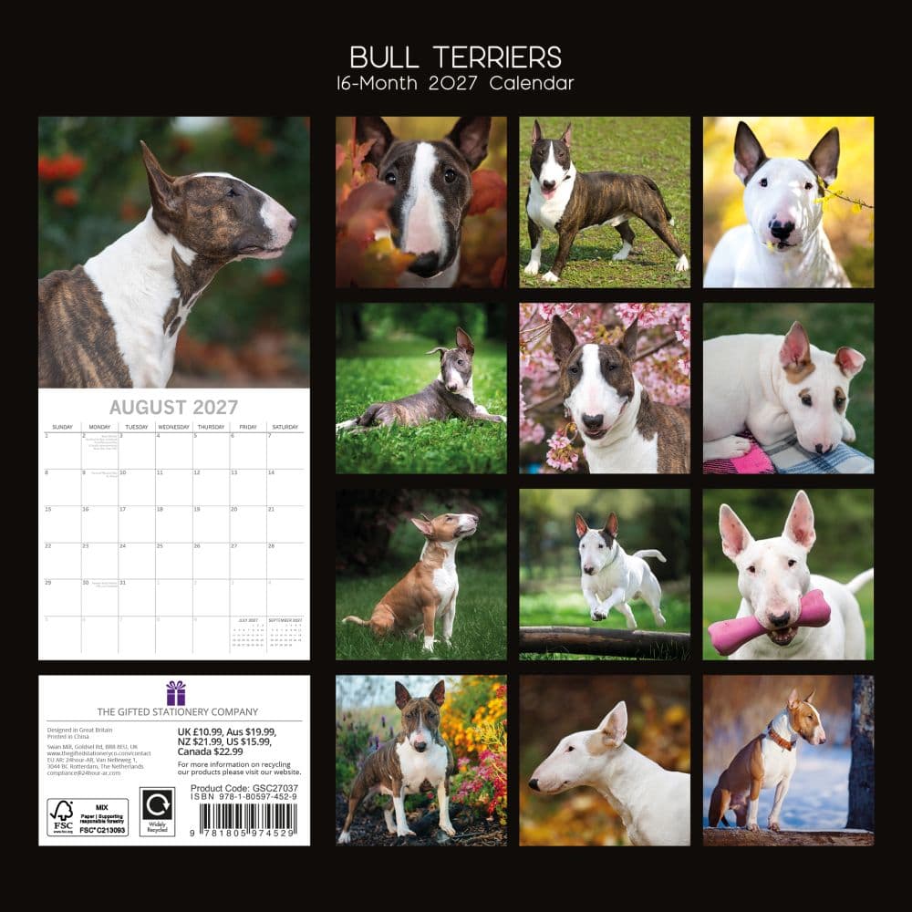Bull Terriers 2027 Wall Calendar First Alternate Image