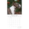 image Bull Terriers 2027 Wall Calendar Second Alternate Image