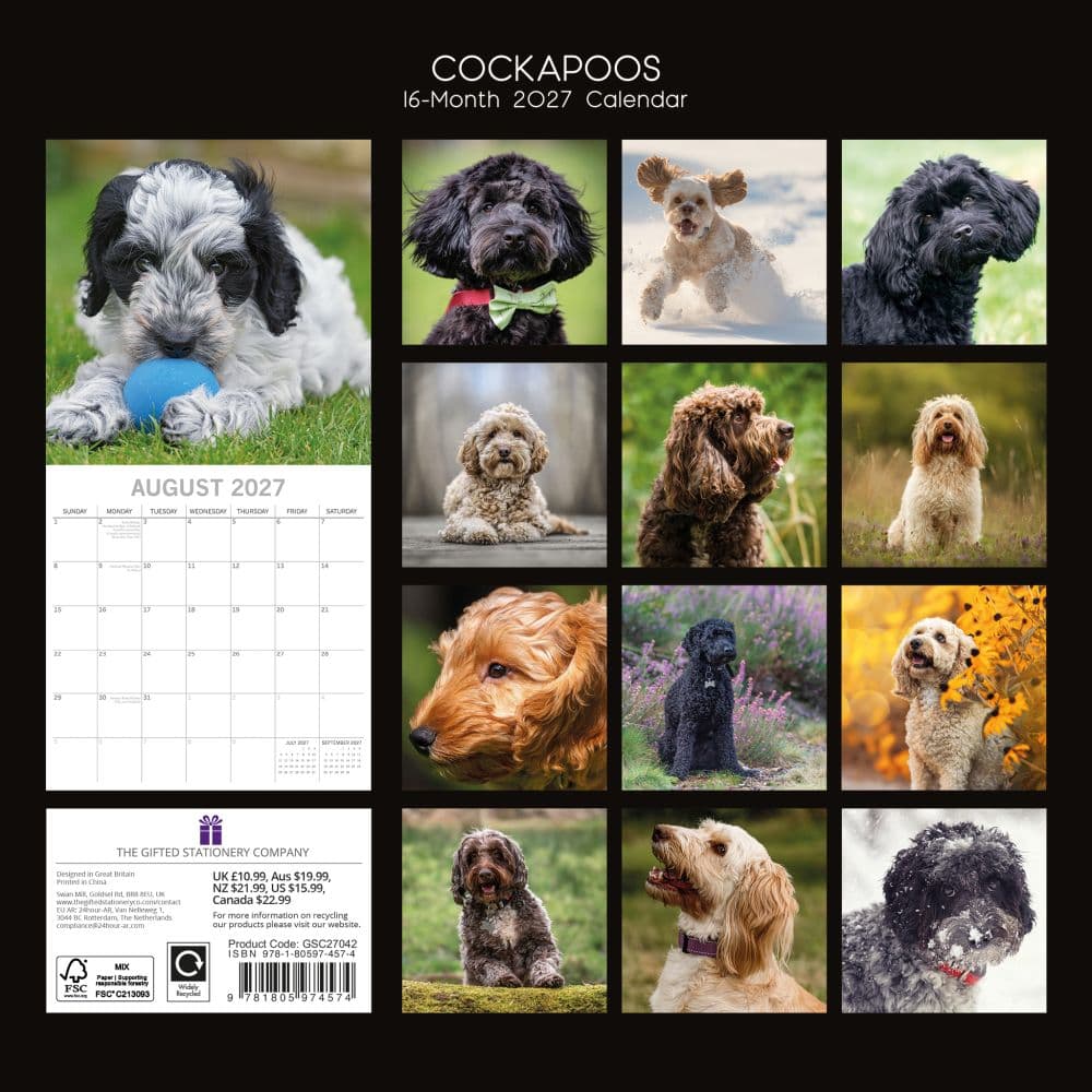 Cockapoos 2027 Wall Calendar First Alternate Image