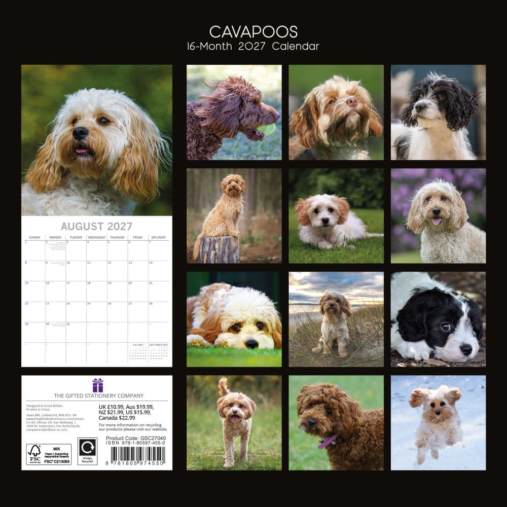 Cavapoos 2027 Wall Calendar First Alternate Image