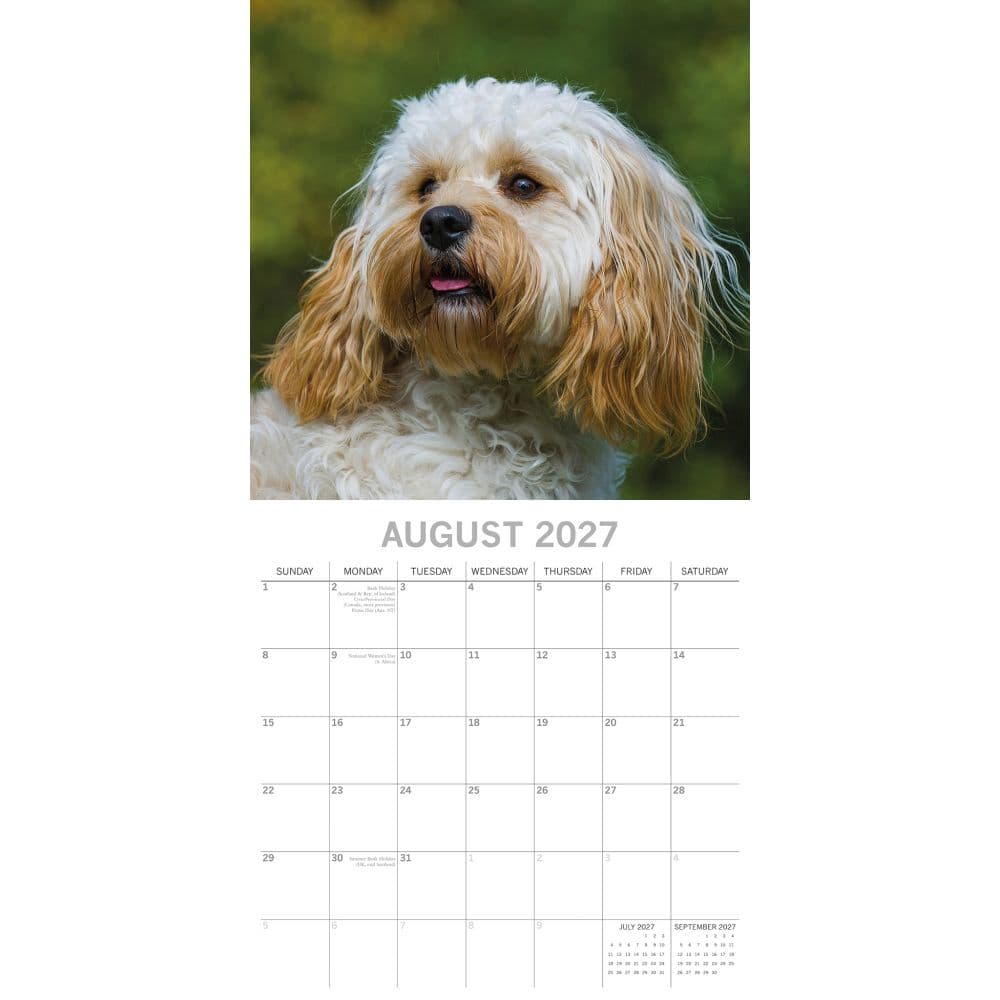 Cavapoos 2027 Wall Calendar Second Alternate Image