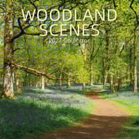 image Woodland Scenes 2027 Wall Calendar Main Product Image
