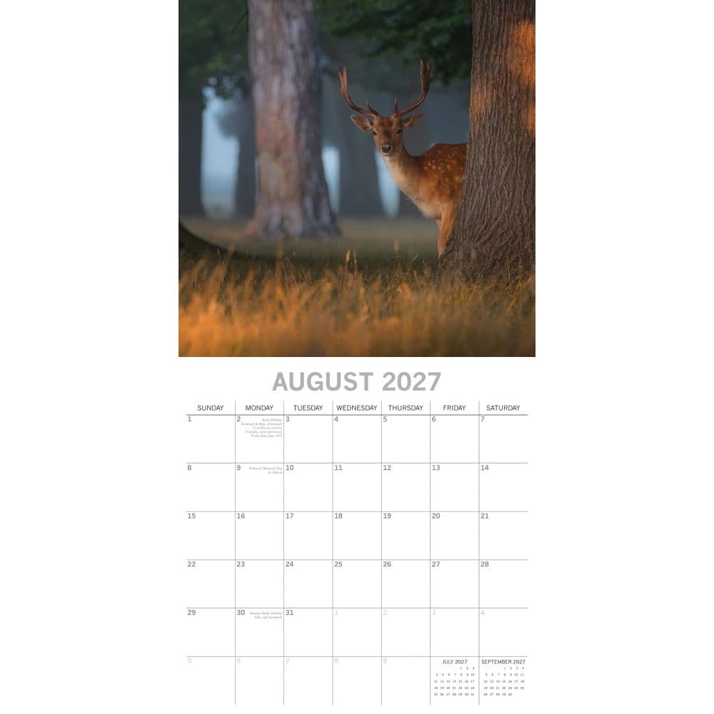 Woodland Scenes 2027 Wall Calendar Second Alternate Image