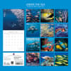 image Under the Sea 2027 Wall Calendar First Alternate Image