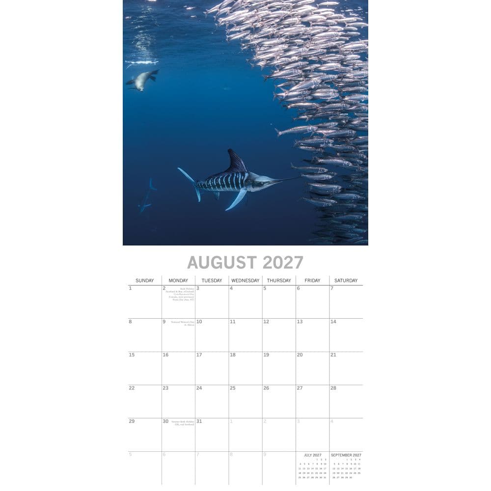 Under the Sea 2027 Wall Calendar Second Alternate Image