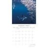 image Under the Sea 2027 Wall Calendar Second Alternate Image