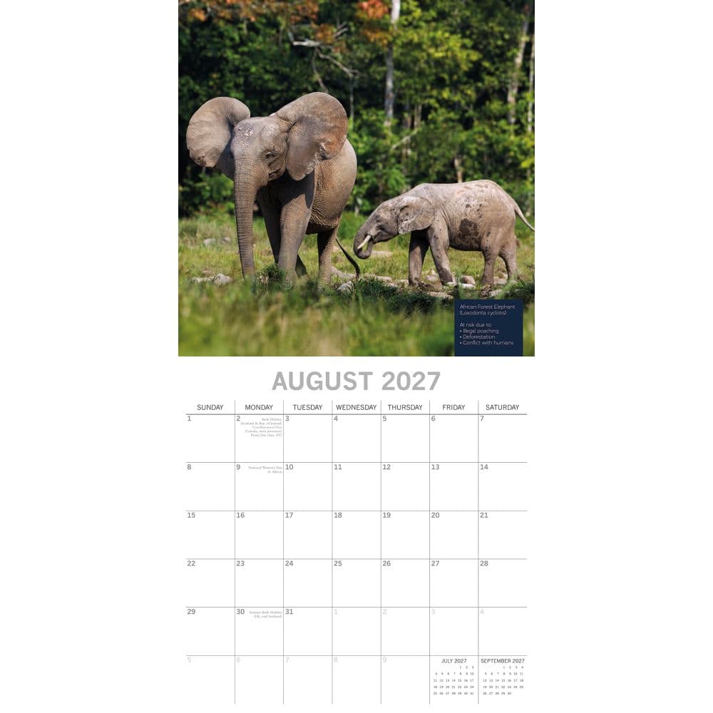 Fragile Earth 2027 Wall Calendar Second Alternate Image