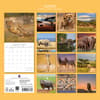 image Safari 2027 Wall Calendar First Alternate Image