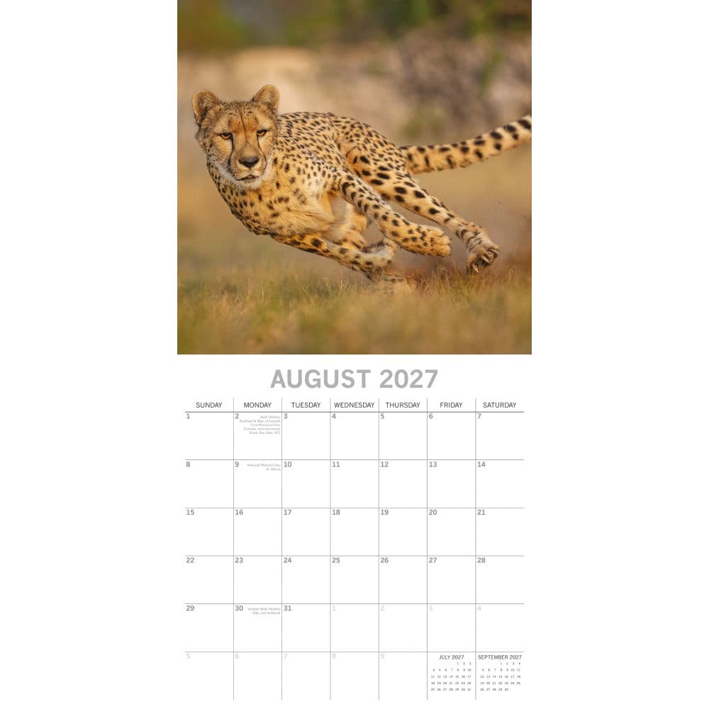 Safari 2027 Wall Calendar Second Alternate Image
