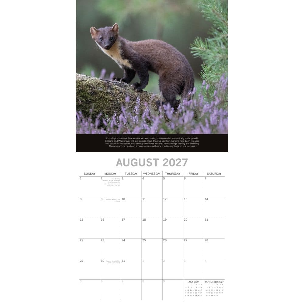 Rewilding Britain 2027 Wall Calendar Second Alternate Image