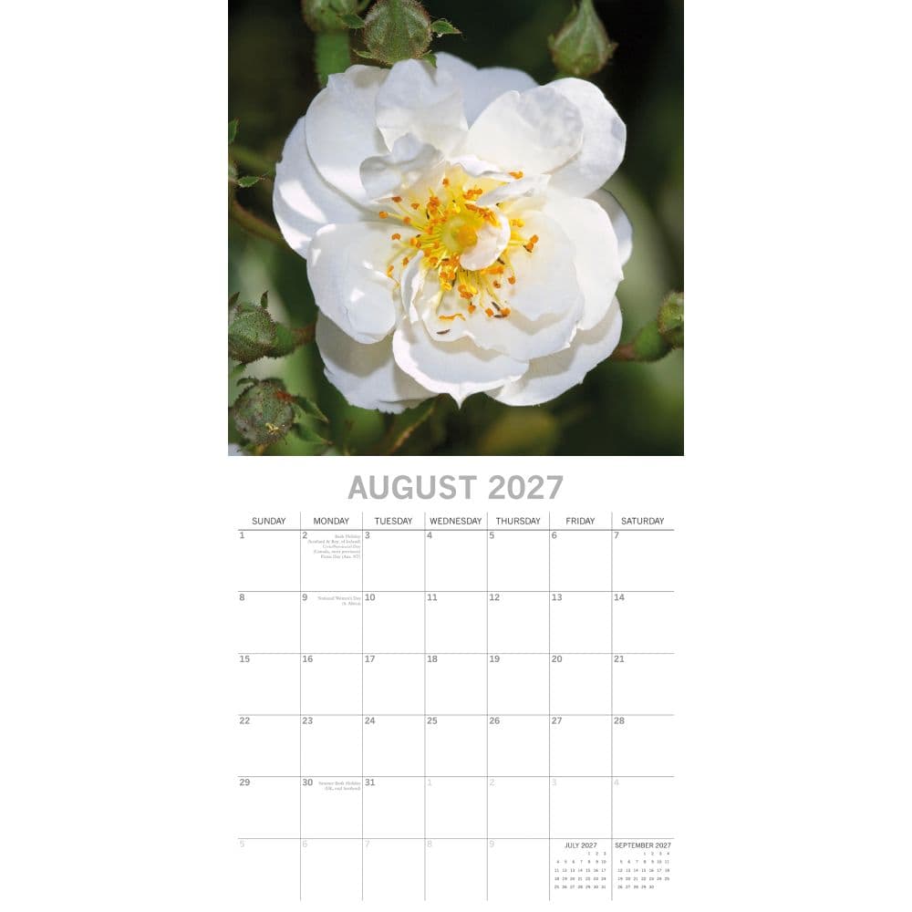 Roses 2027 Wall Calendar Second Alternate Image