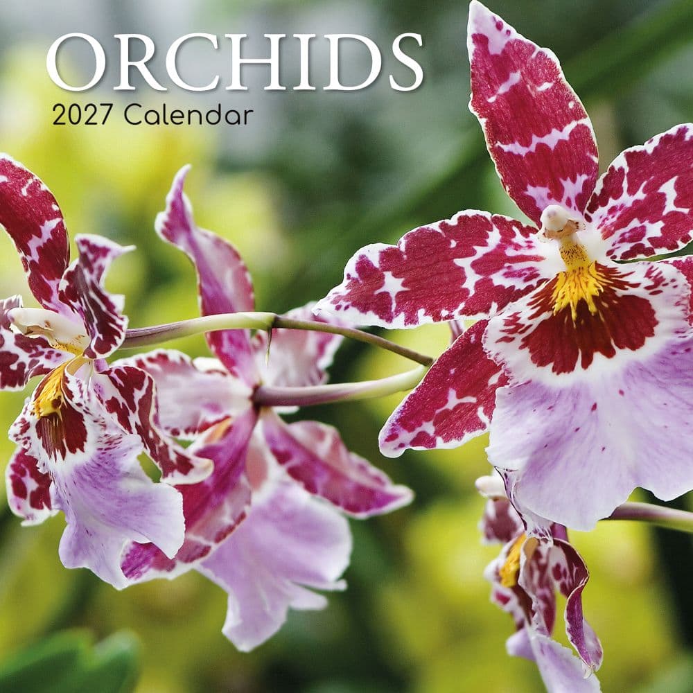 Orchids 2027 Wall Calendar Main Product Image