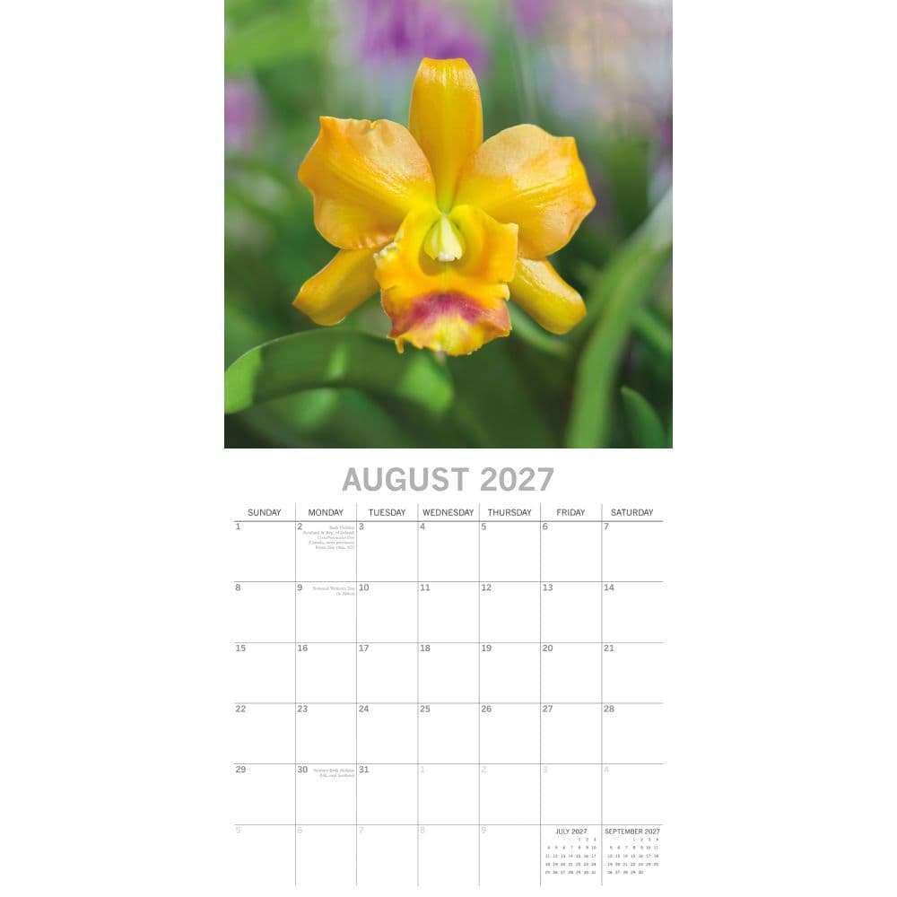 Orchids 2027 Wall Calendar Second Alternate Image