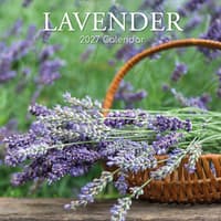 image Lavender 2027 Wall Calendar Main Product Image