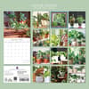 image House Plants 2027 Wall Calendar First Alternate Image