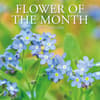 image Flower of the Month 2027 Wall Calendar Main Product Image