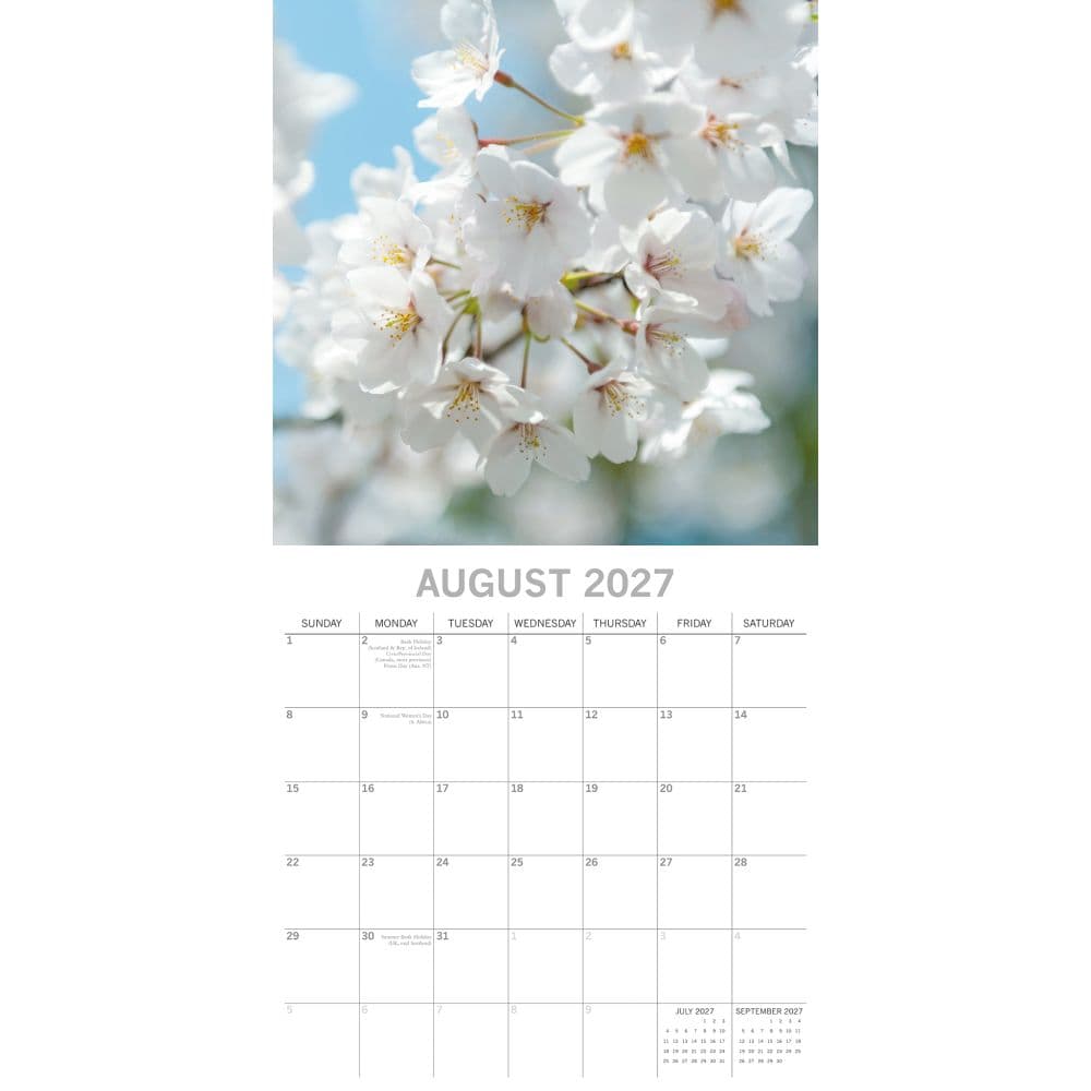 Blossoms 2027 Wall Calendar Second Alternate Image