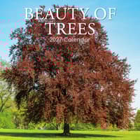 image Beauty of Trees 2027 Wall Calendar Main Product Image