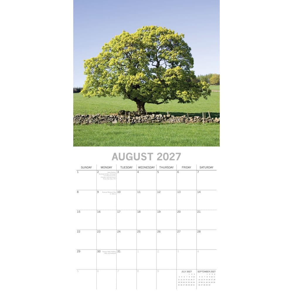 Beauty of Trees 2027 Wall Calendar Second Alternate Image