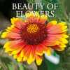 image Beauty of Flowers 2027 Wall Calendar Main Product Image