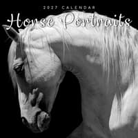 image Horse Portraits 2027 Wall Calendar Main Product Image