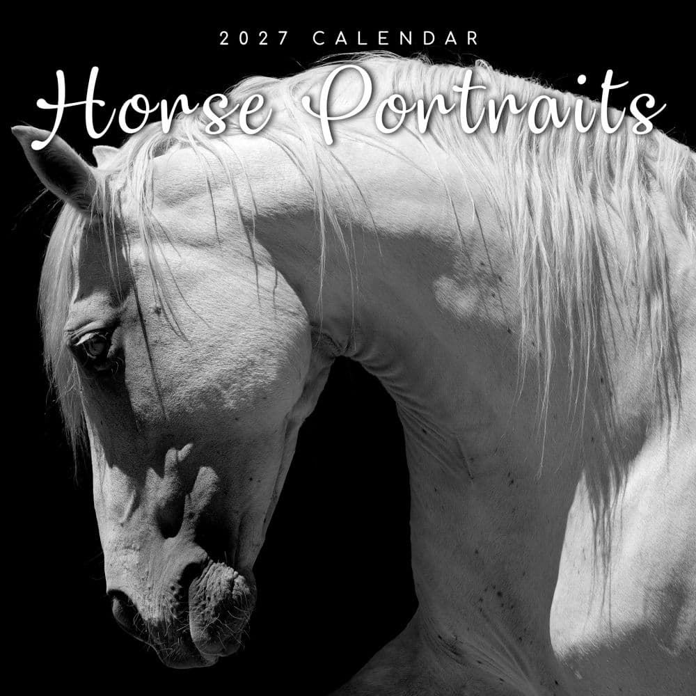 image Horse Portraits 2027 Wall Calendar Main Product Image