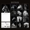 image Horse Portraits 2027 Wall Calendar First Alternate Image