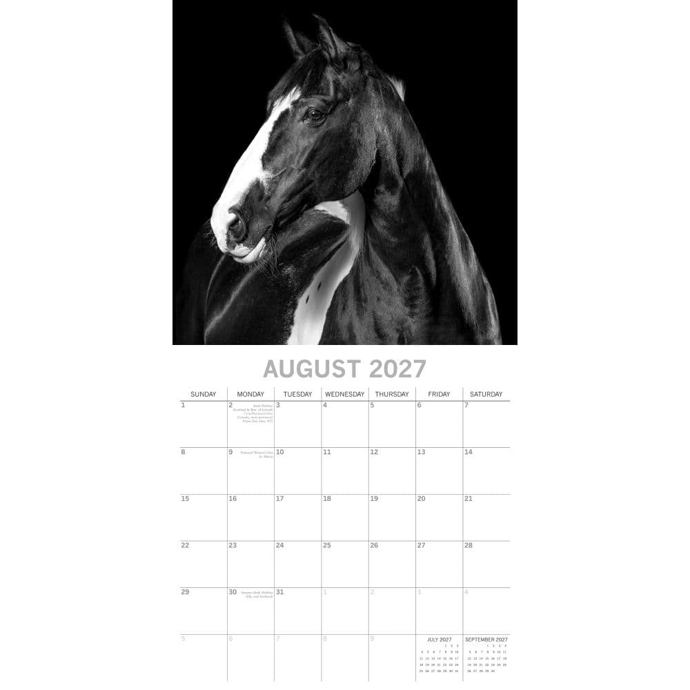 Horse Portraits 2027 Wall Calendar Second Alternate Image