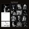 image Dog Portraits 2027 Wall Calendar First Alternate Image