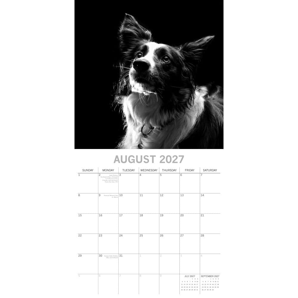 Dog Portraits 2027 Wall Calendar Second Alternate Image