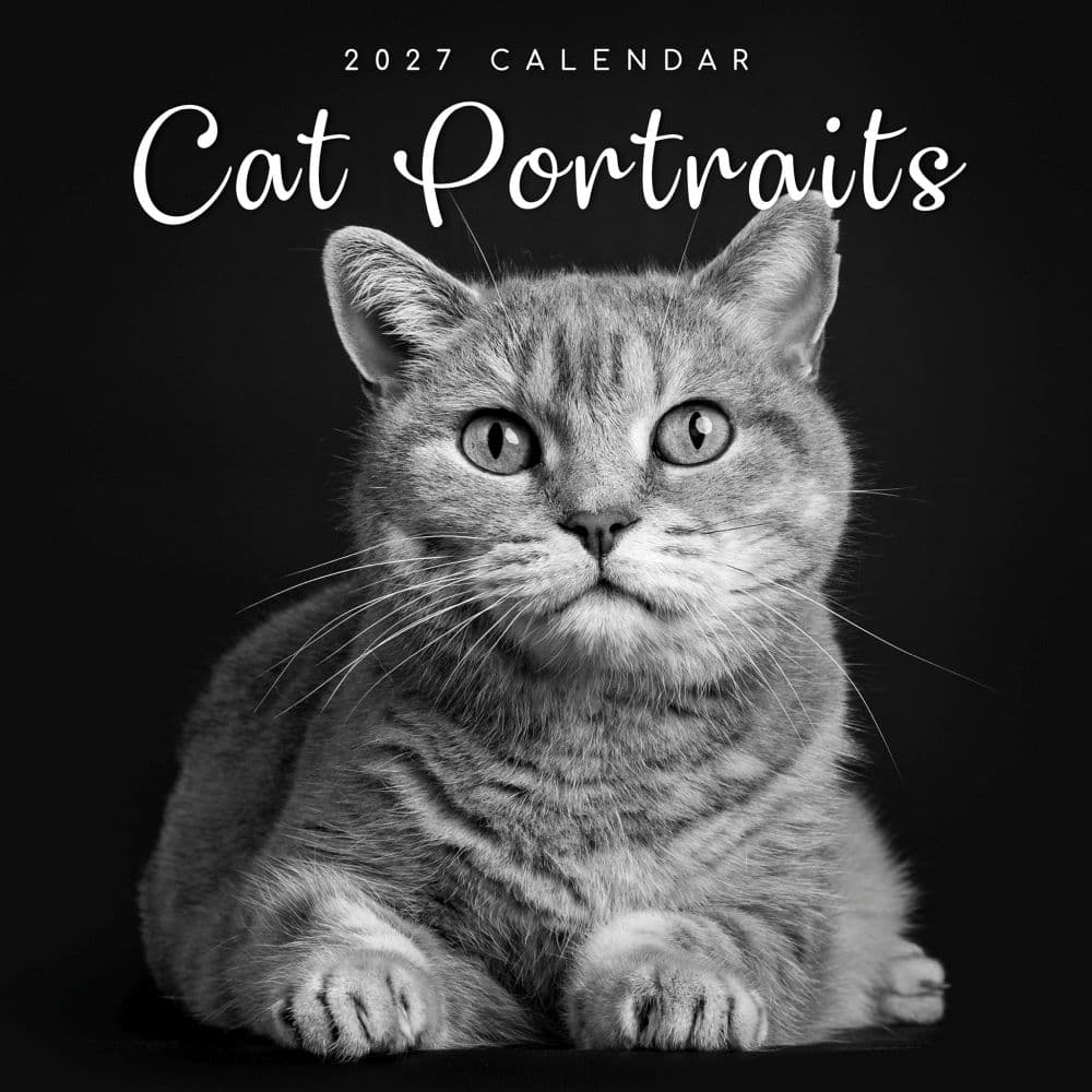 Cat Portraits 2027 Wall Calendar Main Product Image