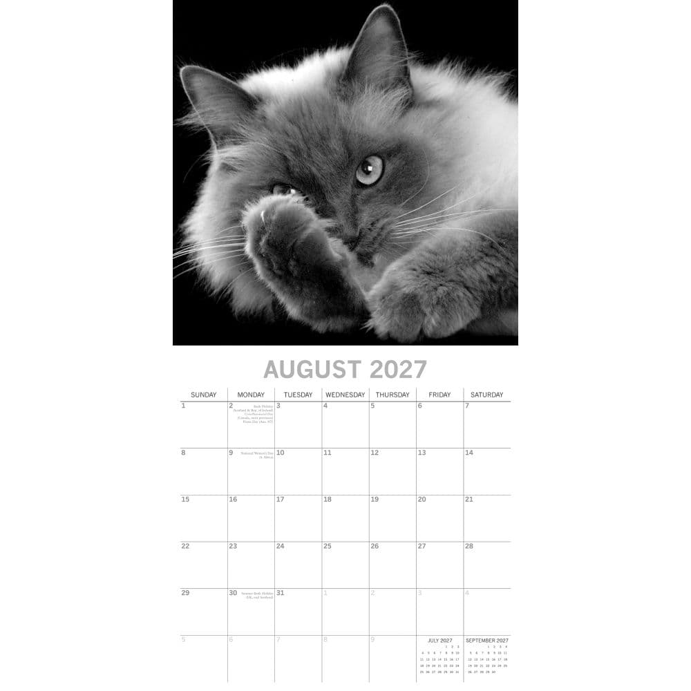 Cat Portraits 2027 Wall Calendar Second Alternate Image
