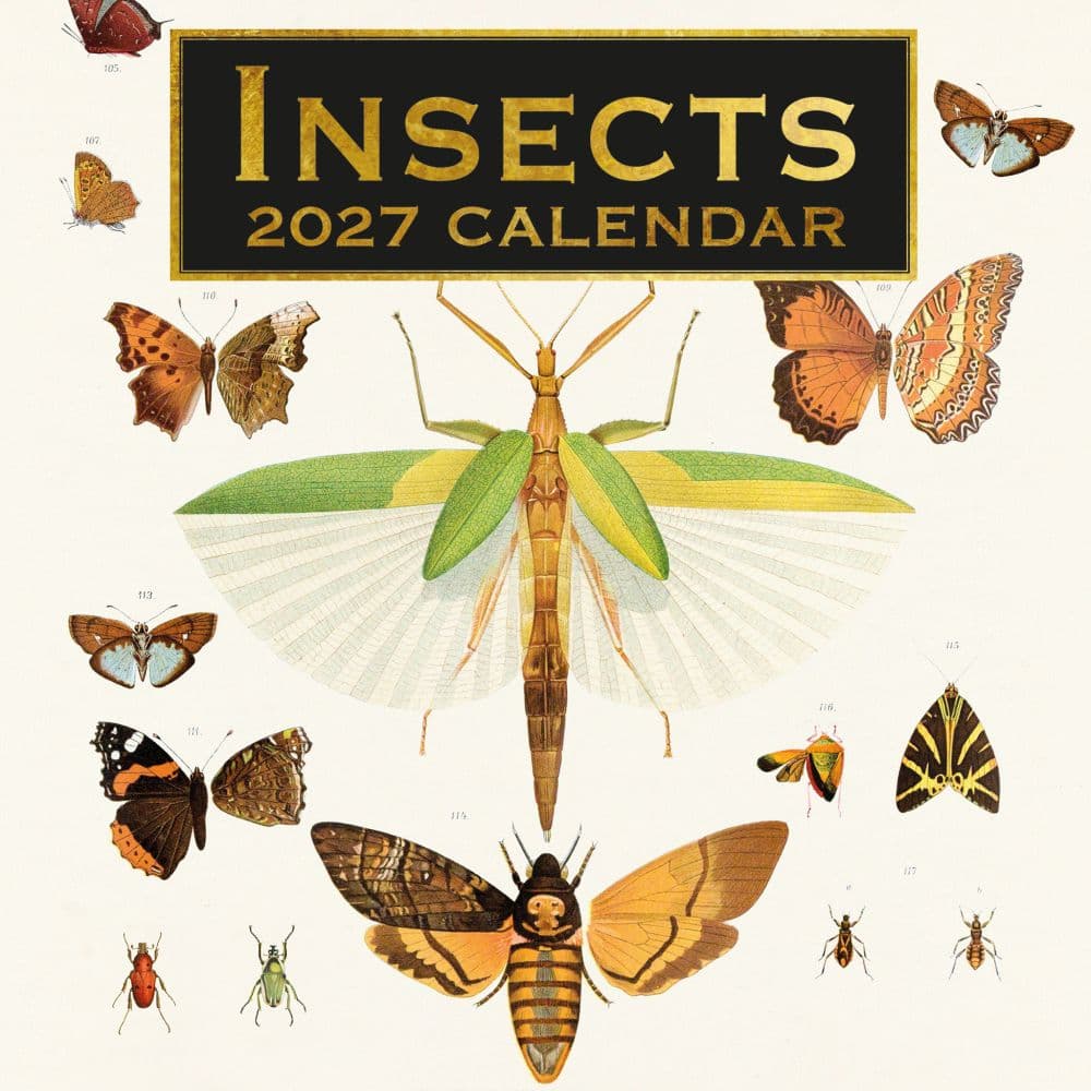 image Insects 2027 Wall Calendar Main Product Image