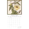 image Insects 2027 Wall Calendar Second Alternate Image