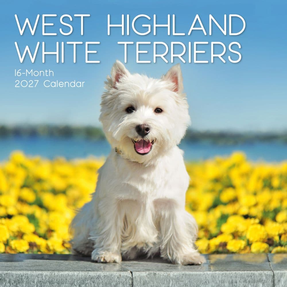 West Highland White Terriers 2027 Wall Calendar Main Product Image