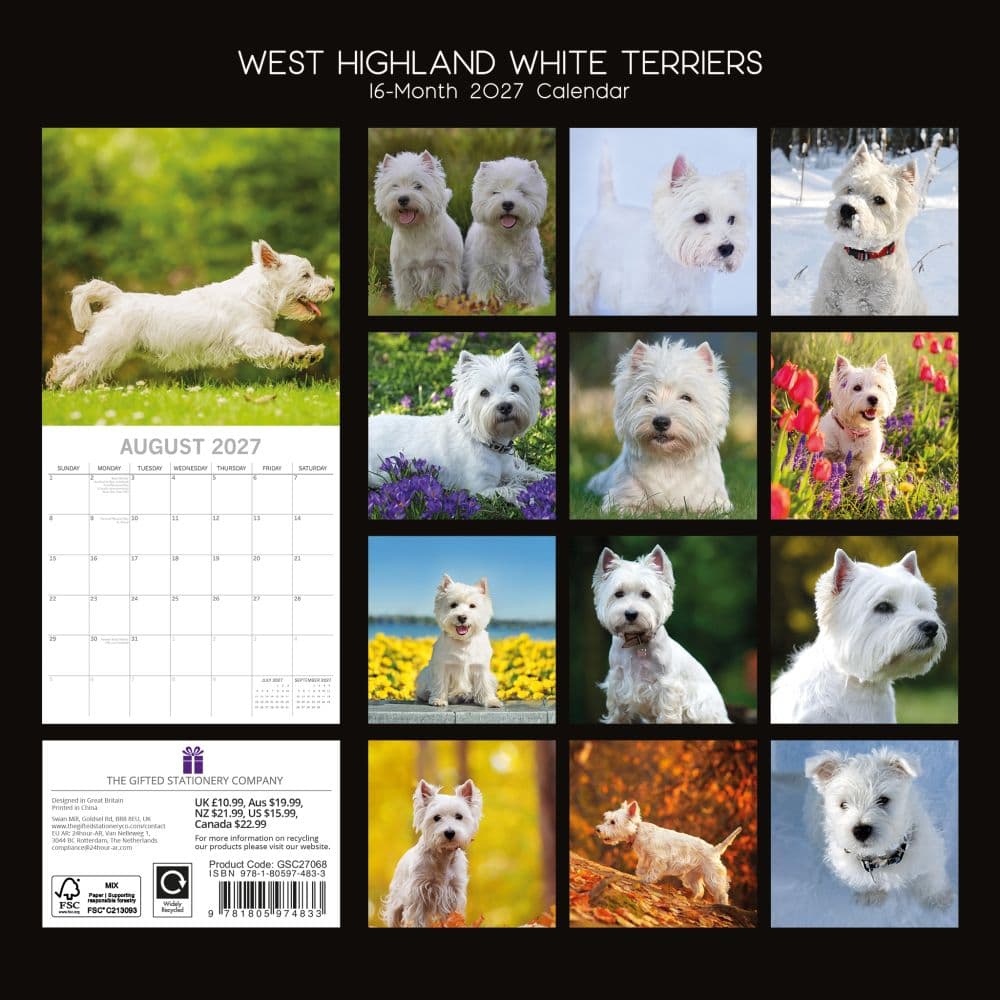 West Highland White Terriers 2027 Wall Calendar First Alternate Image