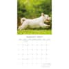 image West Highland White Terriers 2027 Wall Calendar Second Alternate Image
