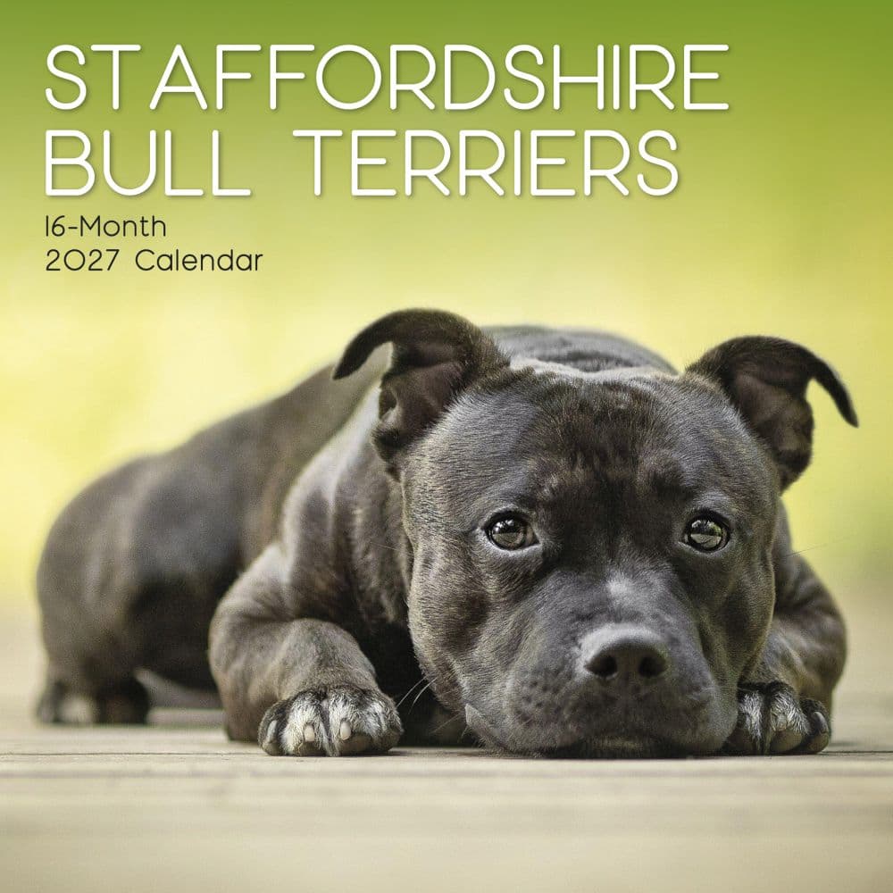 image Staffordshire Bull Terriers 2027 Wall Calendar Main Product Image
