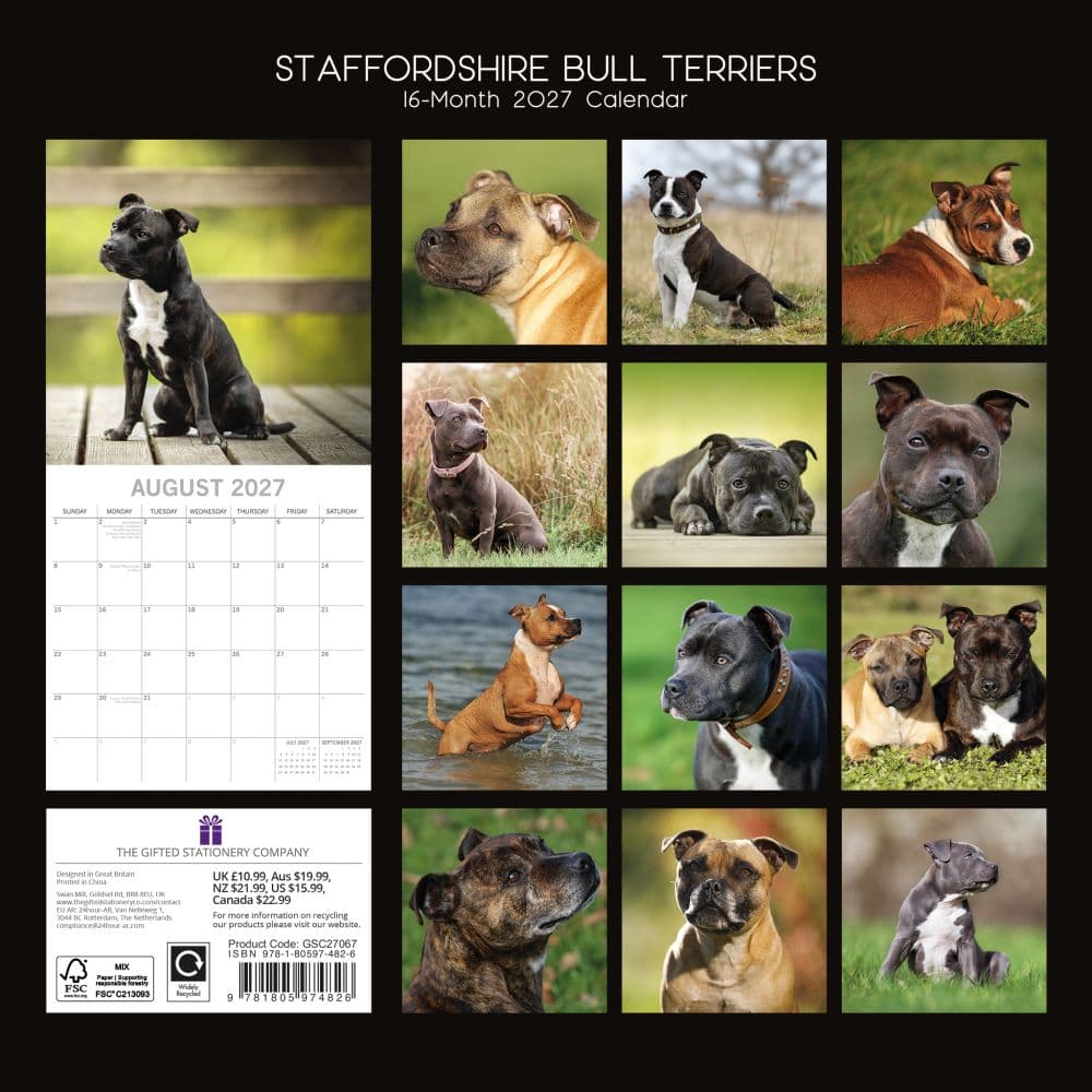 Staffordshire Bull Terriers 2027 Wall Calendar First Alternate Image
