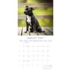 image Staffordshire Bull Terriers 2027 Wall Calendar Second Alternate Image
