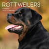 image Rottweilers 2027 Wall Calendar Main Product Image