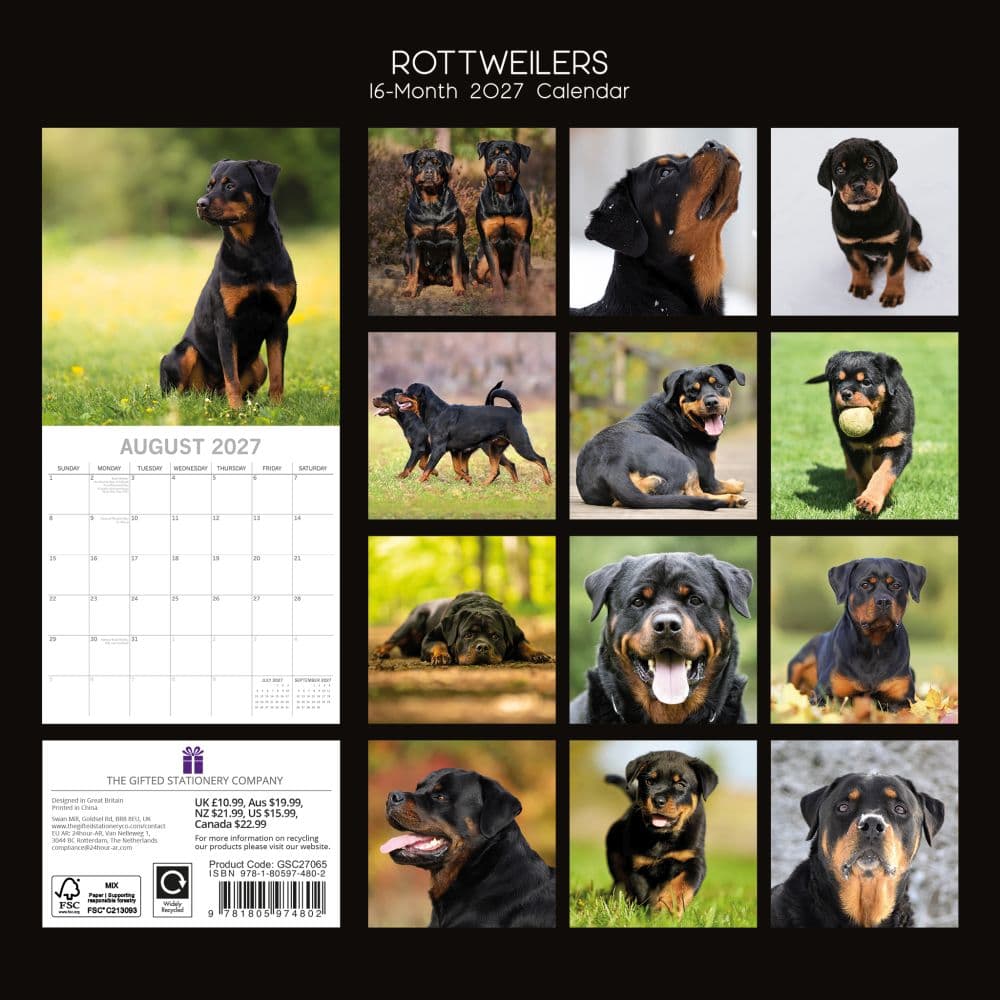 Rottweilers 2027 Wall Calendar First Alternate Image