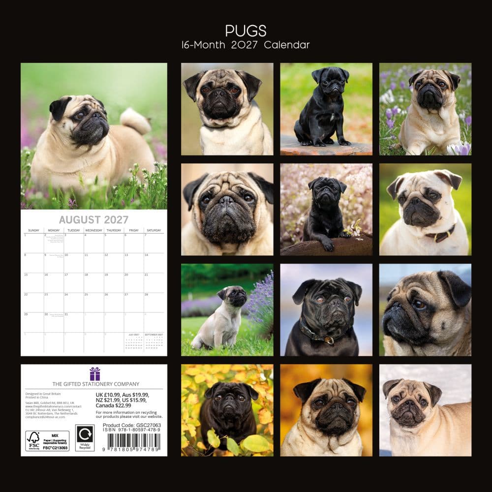 Pugs 2027 Wall Calendar First Alternate Image