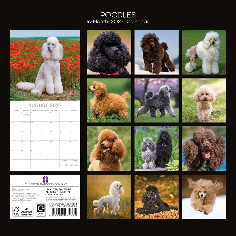 Poodles 2027 Wall Calendar First Alternate Image