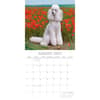 image Poodles 2027 Wall Calendar Second Alternate Image