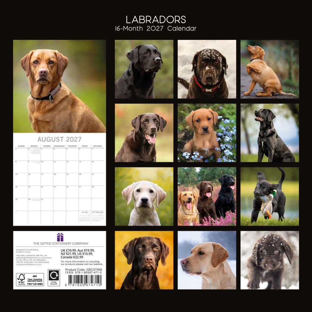 Labradors 2027 Wall Calendar First Alternate Image