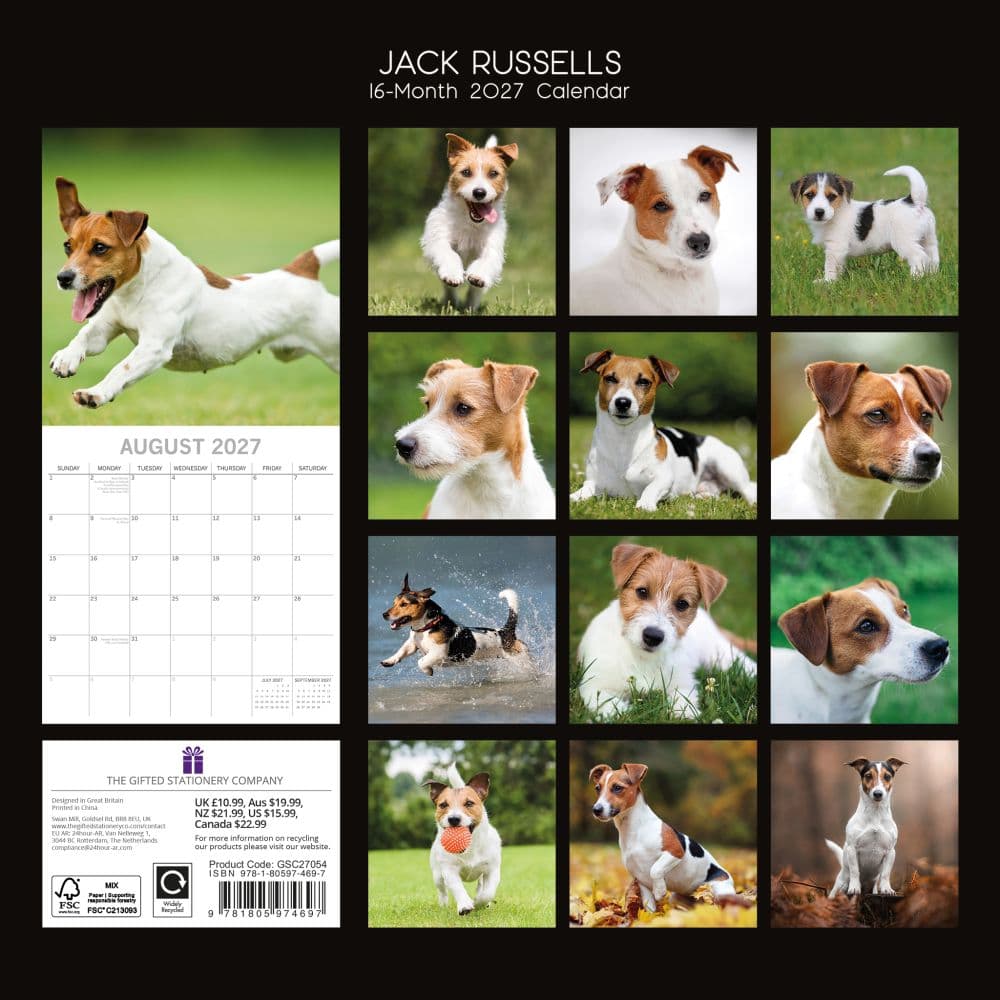 Jack Russells 2027 Wall Calendar First Alternate Image