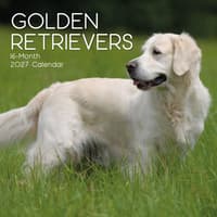 image Golden Retrievers 2027 Wall Calendar Main Product Image